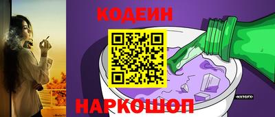 крисы Камышлов