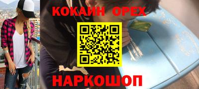 крисы Камышлов