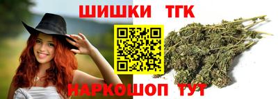 крисы Камышлов