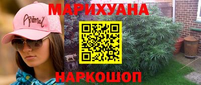 крисы Камышлов