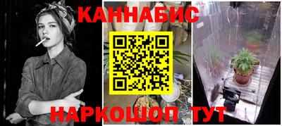 крисы Камышлов