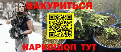 крисы Кандалакша