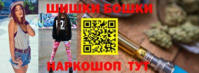 крисы Камышлов