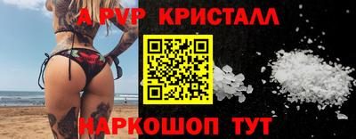 крисы Камышлов